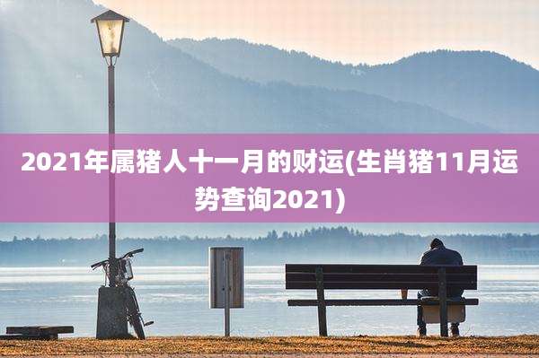 2021年属猪人十一月的财运(生肖猪11月运势查询2021)