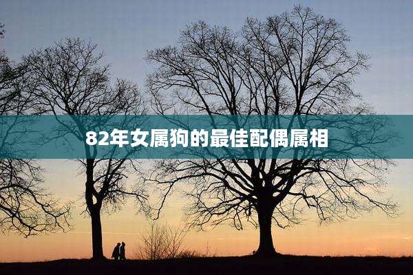 82年女属狗的最佳配偶属相