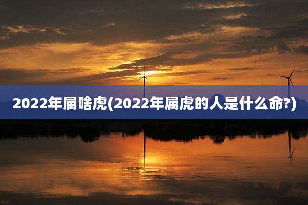 2022年属啥虎(2022年属虎的人是什么命?)
