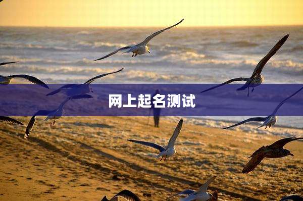 网上起名测试
