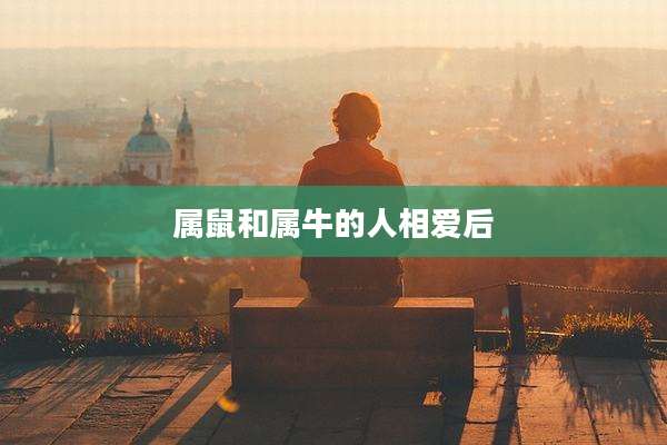 属鼠和属牛的人相爱后