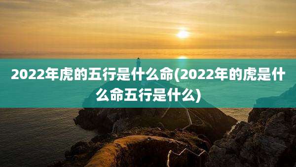 2022年虎的五行是什么命(2022年的虎是什么命五行是什么)