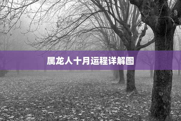 属龙人十月运程详解图