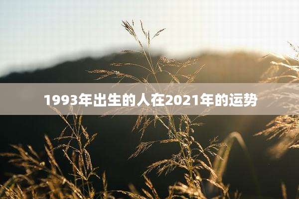 1993年出生的人在2021年的运势