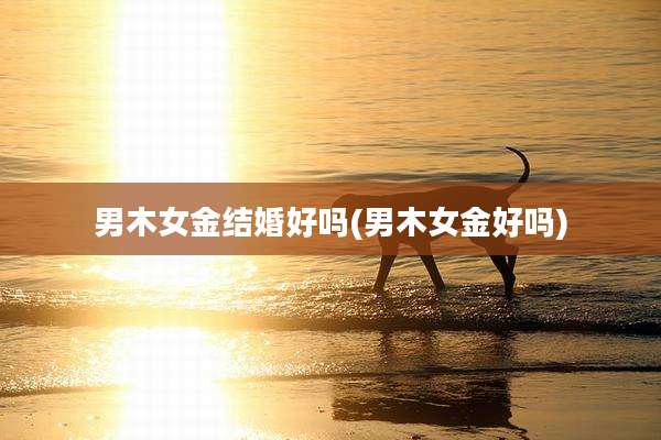 男木女金结婚好吗(男木女金好吗)