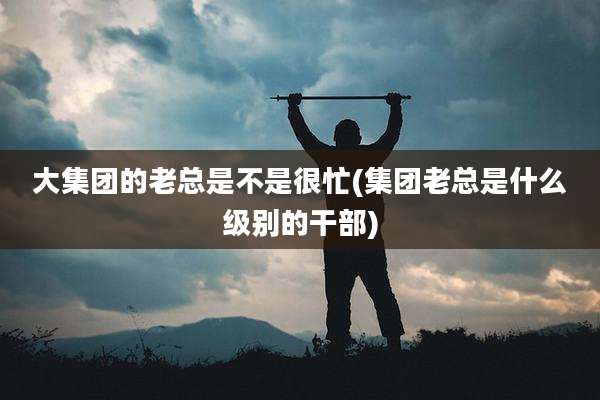 大集团的老总是不是很忙(集团老总是什么级别的干部)