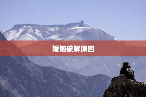 婚姻破解原因
