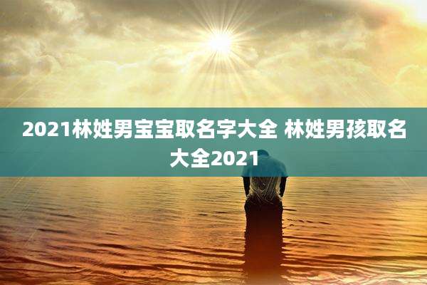 2021林姓男宝宝取名字大全 林姓男孩取名大全2021