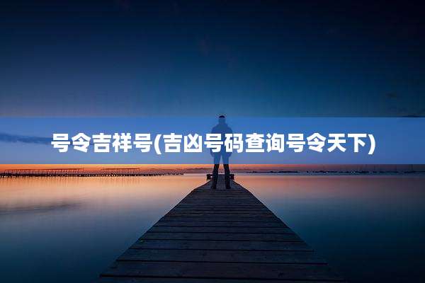 号令吉祥号(吉凶号码查询号令天下)