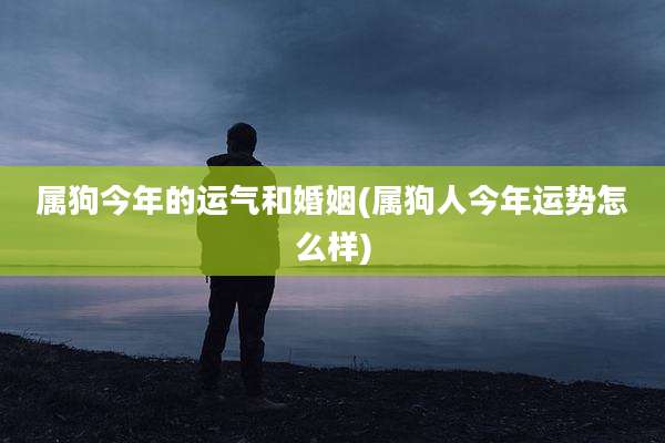 属狗今年的运气和婚姻(属狗人今年运势怎么样)