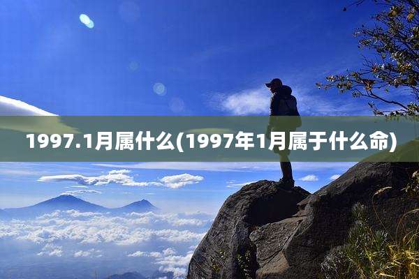 1997.1月属什么(1997年1月属于什么命)