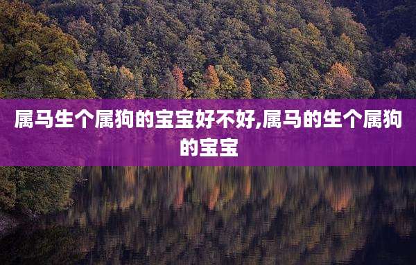 属马生个属狗的宝宝好不好,属马的生个属狗的宝宝