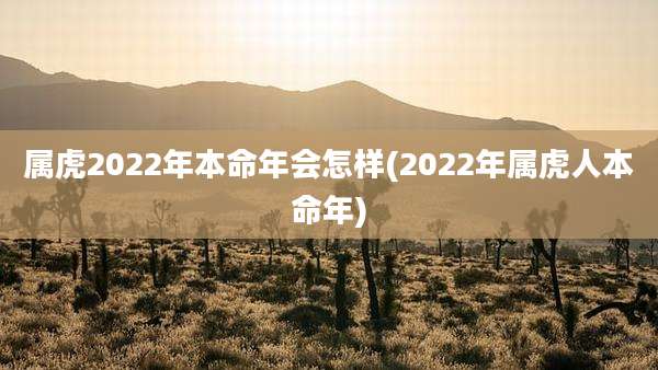 属虎2022年本命年会怎样(2022年属虎人本命年)