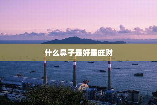 什么鼻子最好最旺财