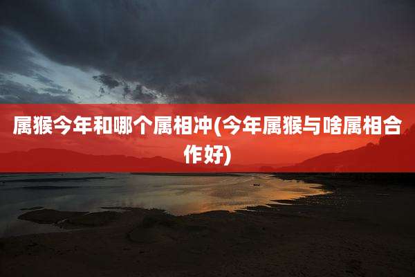 属猴今年和哪个属相冲(今年属猴与啥属相合作好)