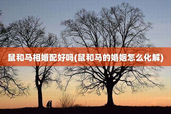 鼠和马相婚配好吗(鼠和马的婚姻怎么化解)