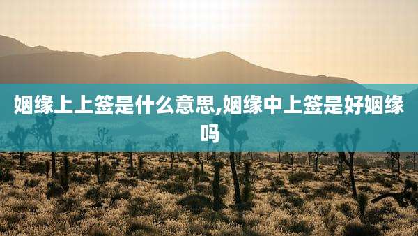 姻缘上上签是什么意思,姻缘中上签是好姻缘吗