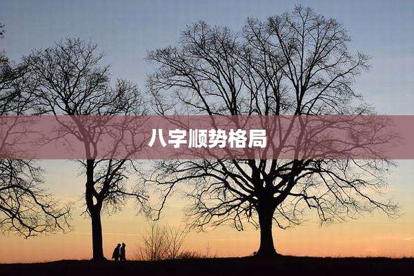 八字顺势格局