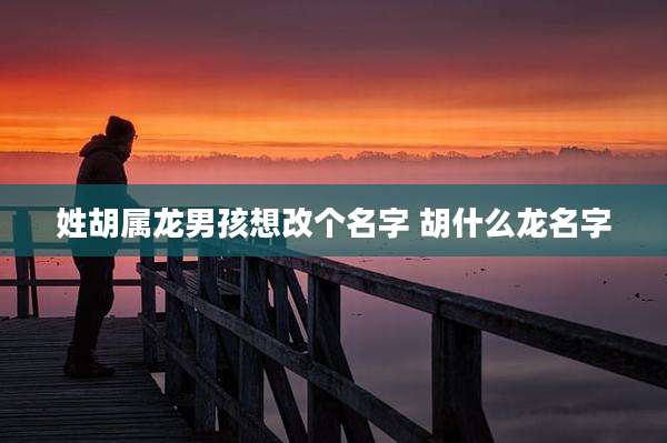 姓胡属龙男孩想改个名字 胡什么龙名字