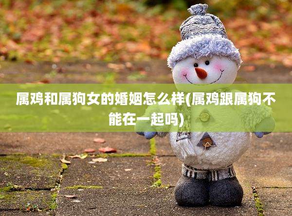 属鸡和属狗女的婚姻怎么样(属鸡跟属狗不能在一起吗)