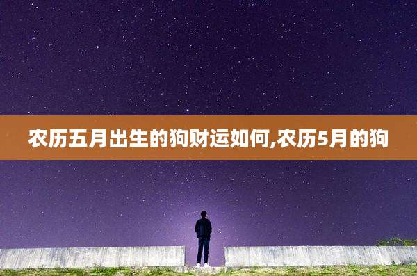 农历五月出生的狗财运如何,农历5月的狗