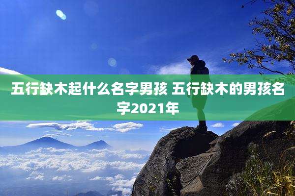 五行缺木起什么名字男孩 五行缺木的男孩名字2021年