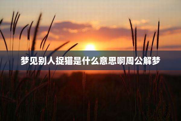 梦见别人捉猫是什么意思啊周公解梦