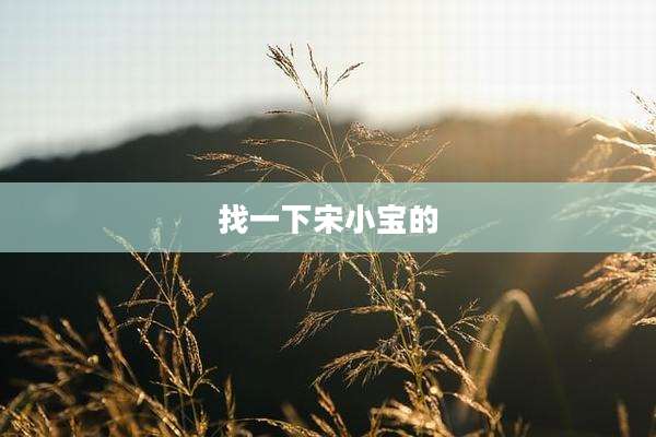 找一下宋小宝的
