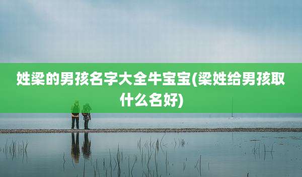 姓梁的男孩名字大全牛宝宝(梁姓给男孩取什么名好)