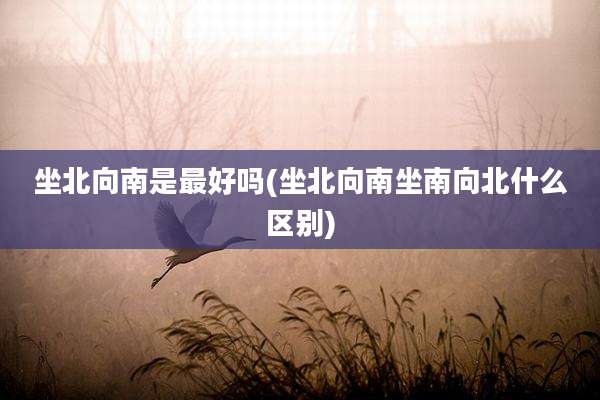 坐北向南是最好吗(坐北向南坐南向北什么区别)