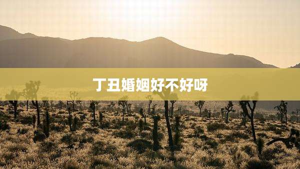 丁丑婚姻好不好呀