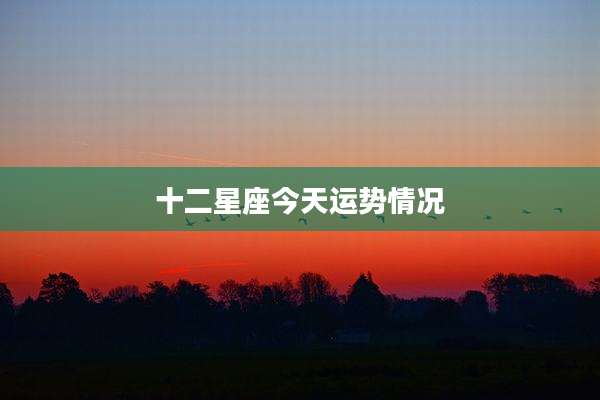 十二星座今天运势情况