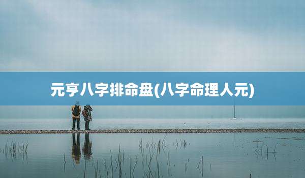元亨八字排命盘(八字命理人元)