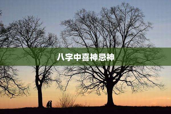 八字中喜神忌神