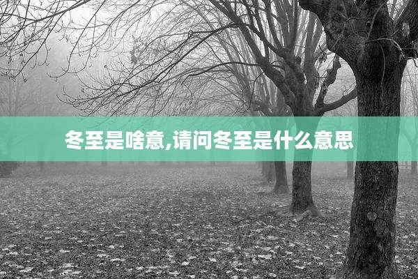 冬至是啥意,请问冬至是什么意思