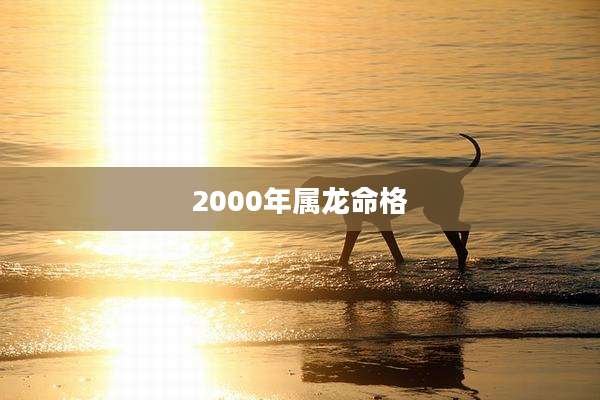 2000年属龙命格