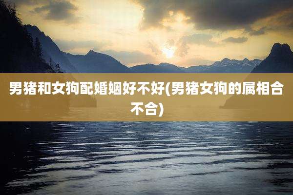 男猪和女狗配婚姻好不好(男猪女狗的属相合不合)
