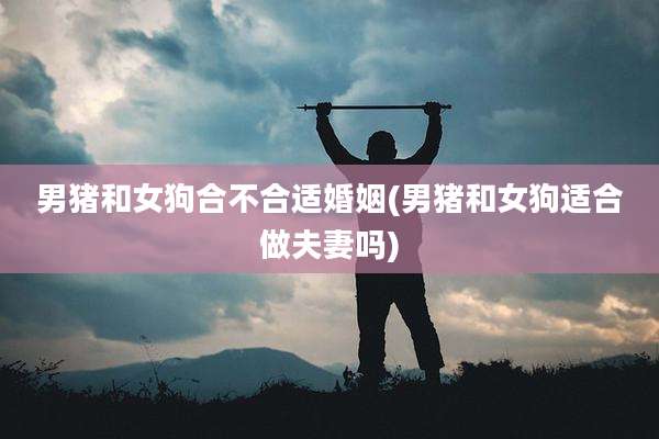 男猪和女狗合不合适婚姻(男猪和女狗适合做夫妻吗)