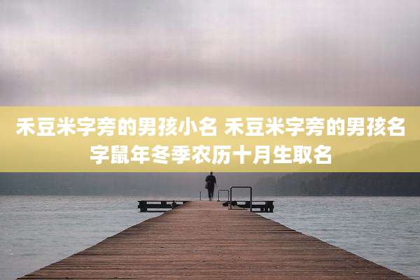 禾豆米字旁的男孩小名 禾豆米字旁的男孩名字鼠年冬季农历十月生取名