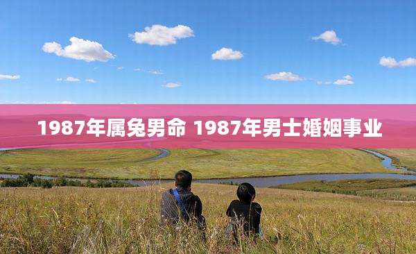 1987年属兔男命 1987年男士婚姻事业