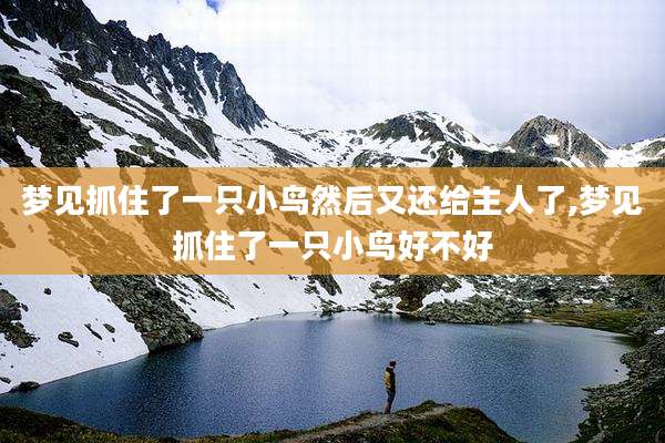 梦见抓住了一只小鸟然后又还给主人了,梦见抓住了一只小鸟好不好