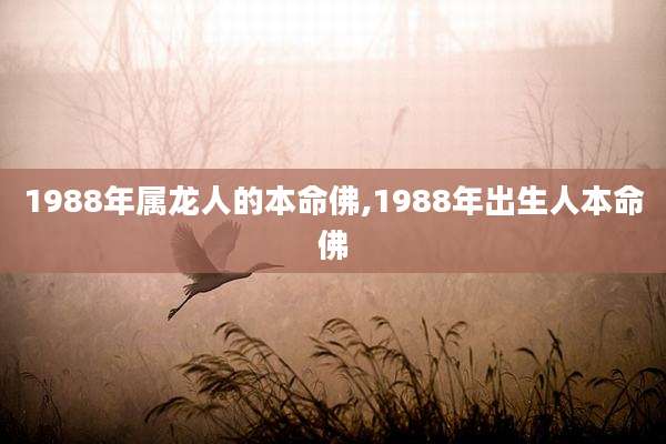 1988年属龙人的本命佛,1988年出生人本命佛