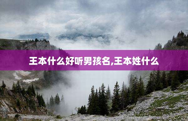 王本什么好听男孩名,王本姓什么