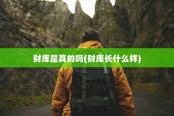 财库是真的吗(财库长什么样)