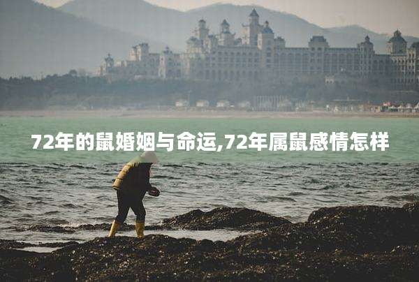 72年的鼠婚姻与命运,72年属鼠感情怎样