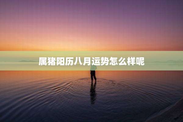 属猪阳历八月运势怎么样呢