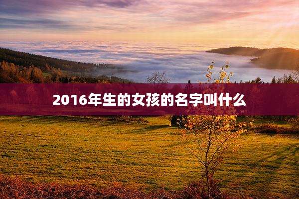 2016年生的女孩的名字叫什么