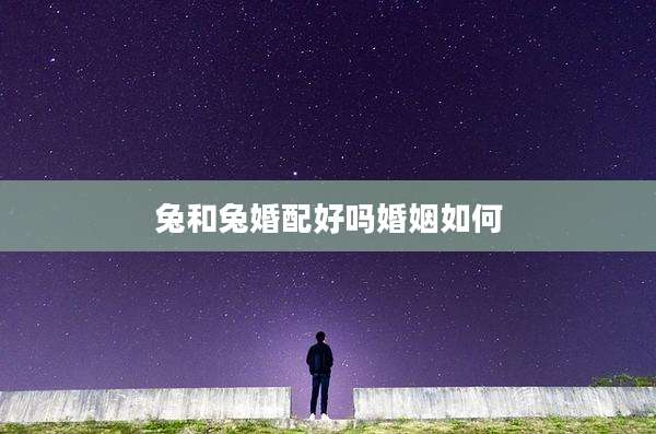 兔和兔婚配好吗婚姻如何