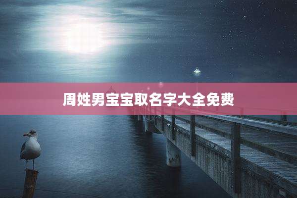 周姓男宝宝取名字大全免费