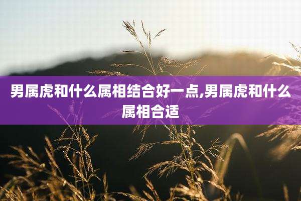 男属虎和什么属相结合好一点,男属虎和什么属相合适